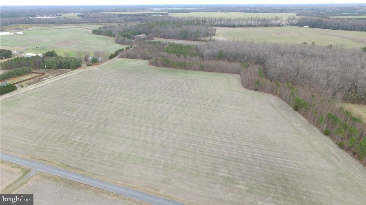5742 Adams Road Federalsburg, MD 21632 - Photo 24 of 28 Gallery Image 24