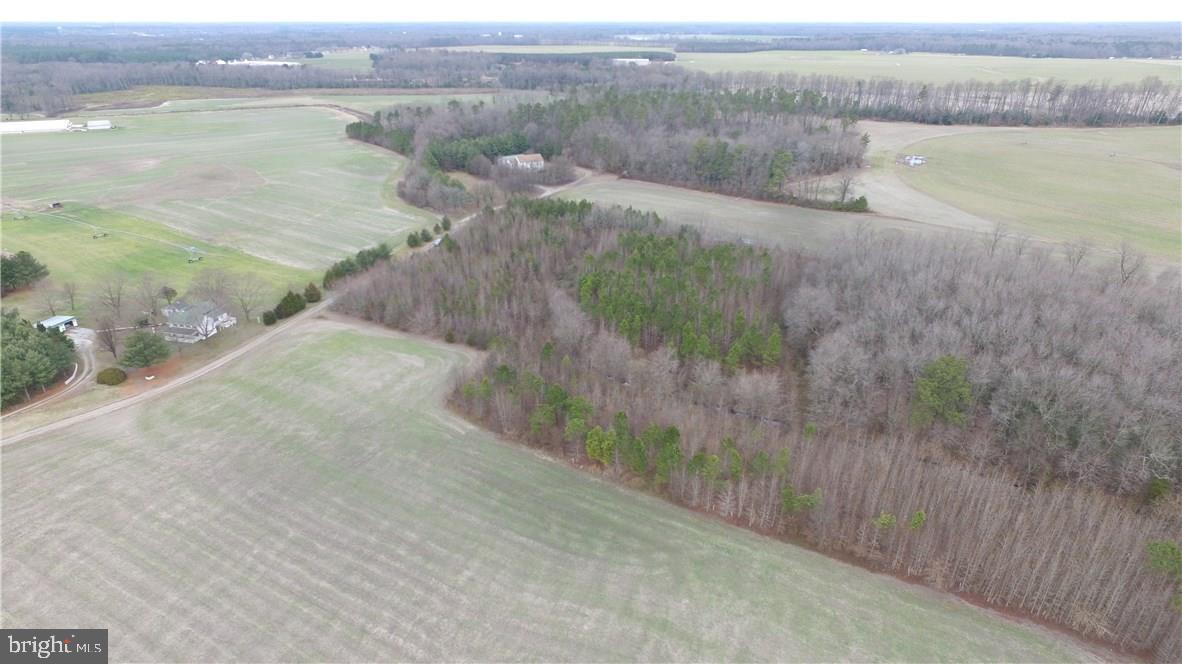 5742 Adams Road Federalsburg, MD 21632 - Photo 25 of 28 Gallery Image 25