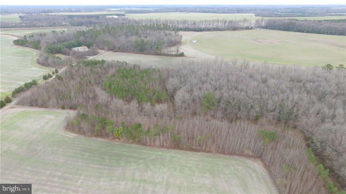 5742 Adams Road Federalsburg, MD 21632 - Photo 26 of 28 Gallery Image 26