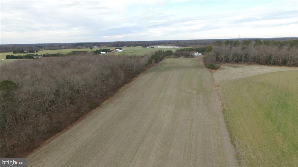 5742 Adams Road Federalsburg, MD 21632 - Photo 5 of 28 Gallery Image 5