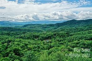 0 Echo Ridge Road, Unit 24 Whittier, NC 28789 - Photo 3 of 9 Gallery Image 3
