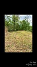 0 Echo Ridge Road, Unit 24 Whittier, NC 28789 - Photo 6 of 9 Gallery Image 6