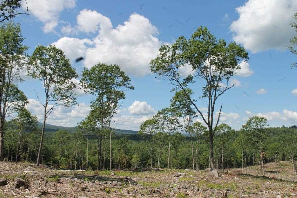 0 Chase Road Meredith, NH 03253 - Photo 2 of 13