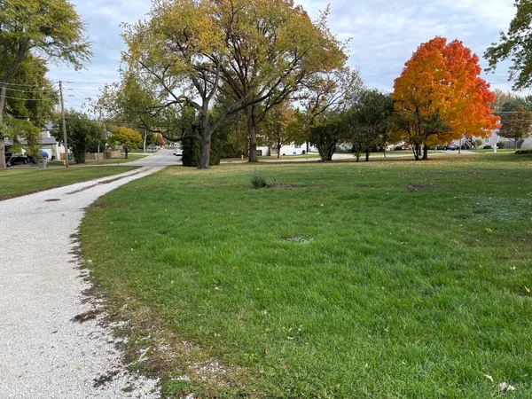 a huge green field with lots of trees