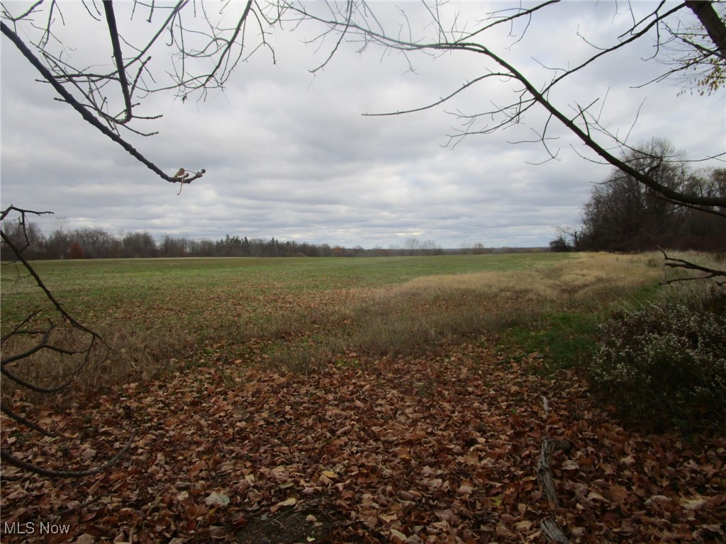 1 Madison Road Huntsburg, OH 44046 - Photo 2 of 9