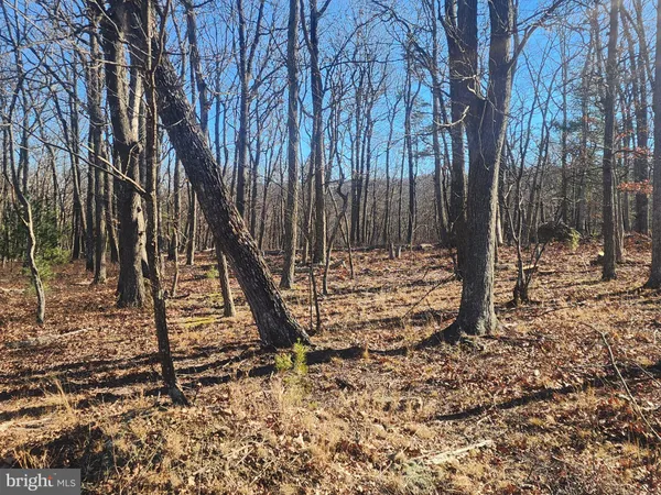 a view of outdoor space with trees