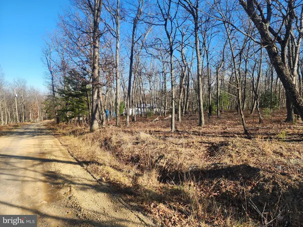 a view of yard with trees