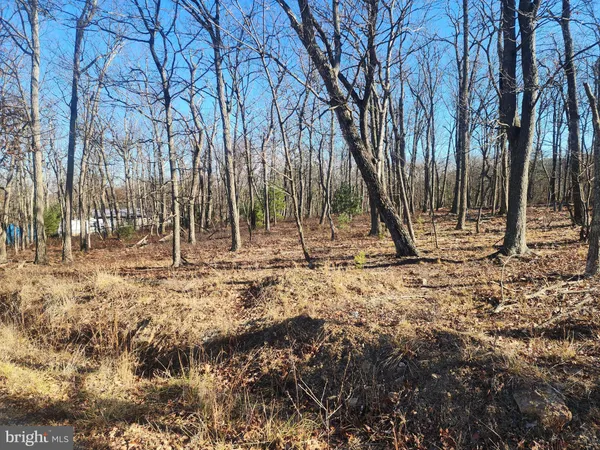 a view of outdoor space with trees