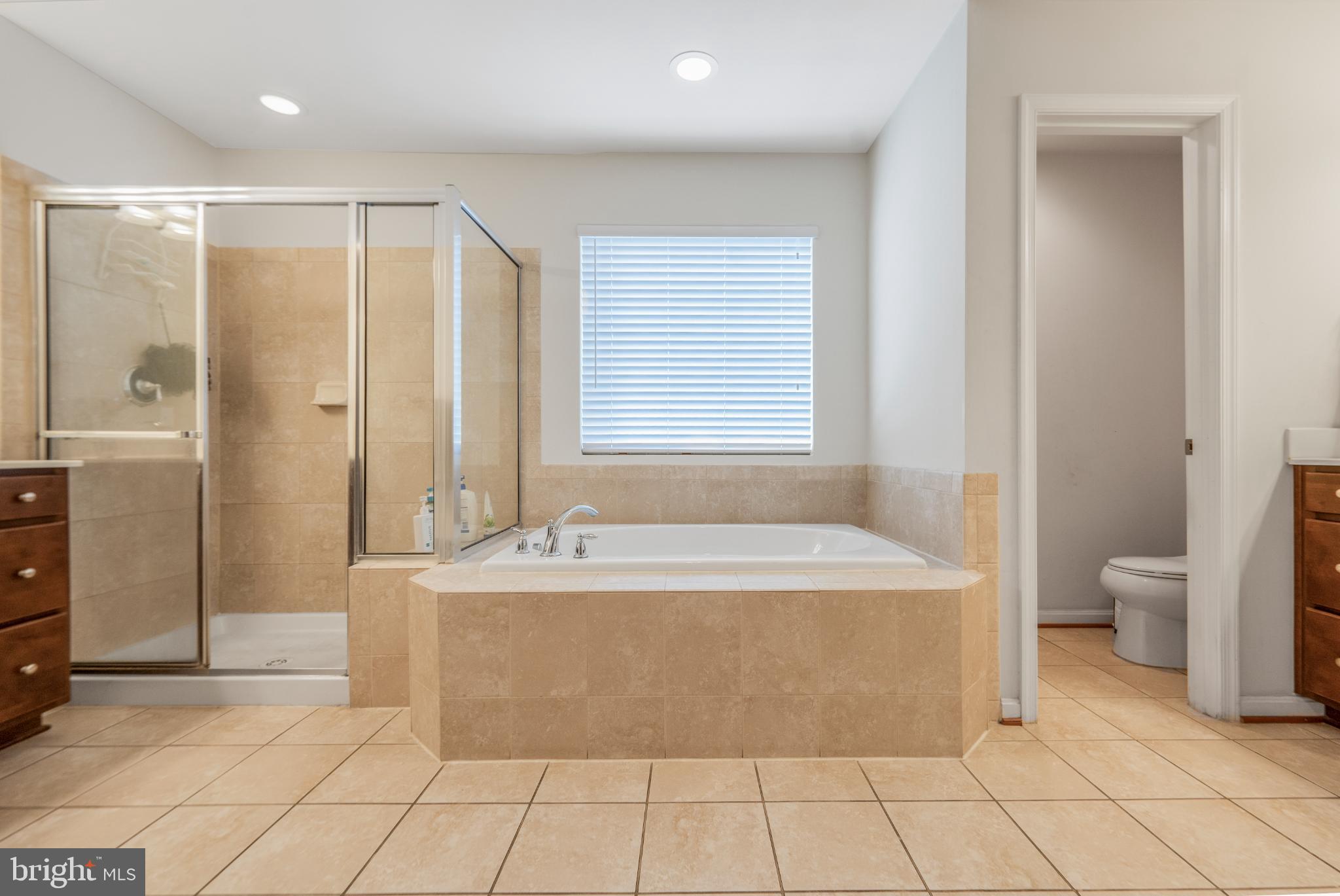 9709 Traver Street Bowie, MD 20721 - Photo 25 of 48 Elegant main bathroom with modern amenities.