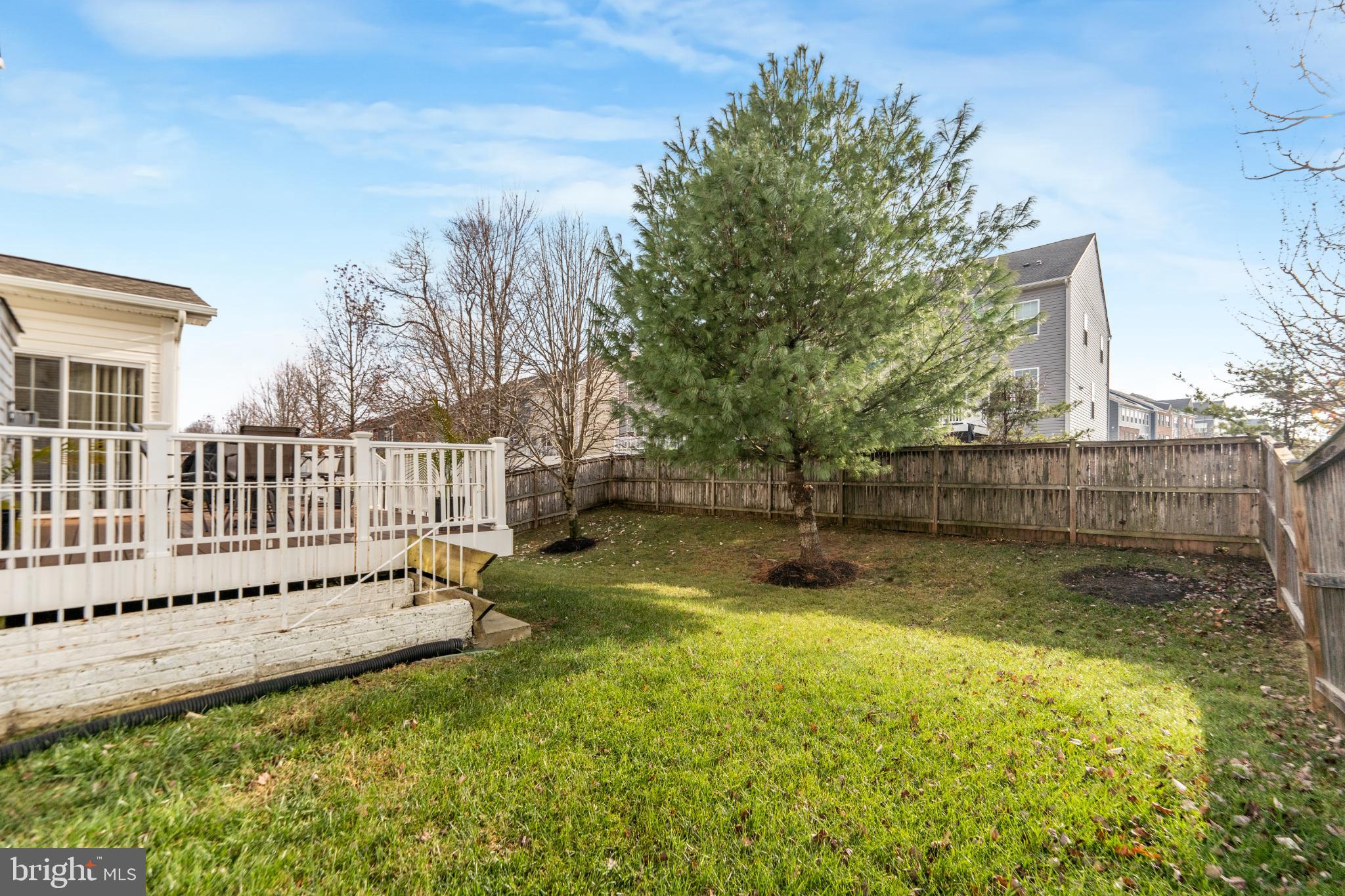 9709 Traver Street Bowie, MD 20721 - Photo 47 of 48 Serene backyard oasis with lush greenery.