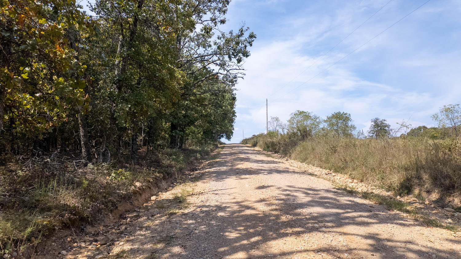 0 County Road 3540 Mountain View, MO 65548 - Photo 12 of 19 Hunting proparty011