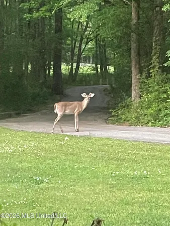 $624,900 | 3981 Pleasant Hill Road, Olive Branch, MS 38654