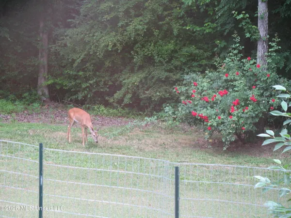 $624,900 | 3981 Pleasant Hill Road, Olive Branch, MS 38654