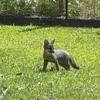 $624,900 | 3981 Pleasant Hill Road, Olive Branch, MS 38654