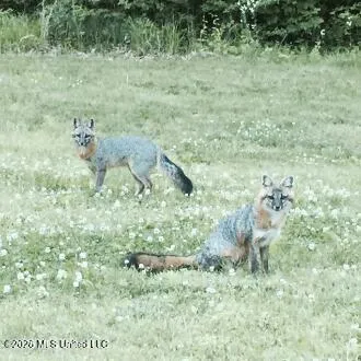 $624,900 | 3981 Pleasant Hill Road, Olive Branch, MS 38654