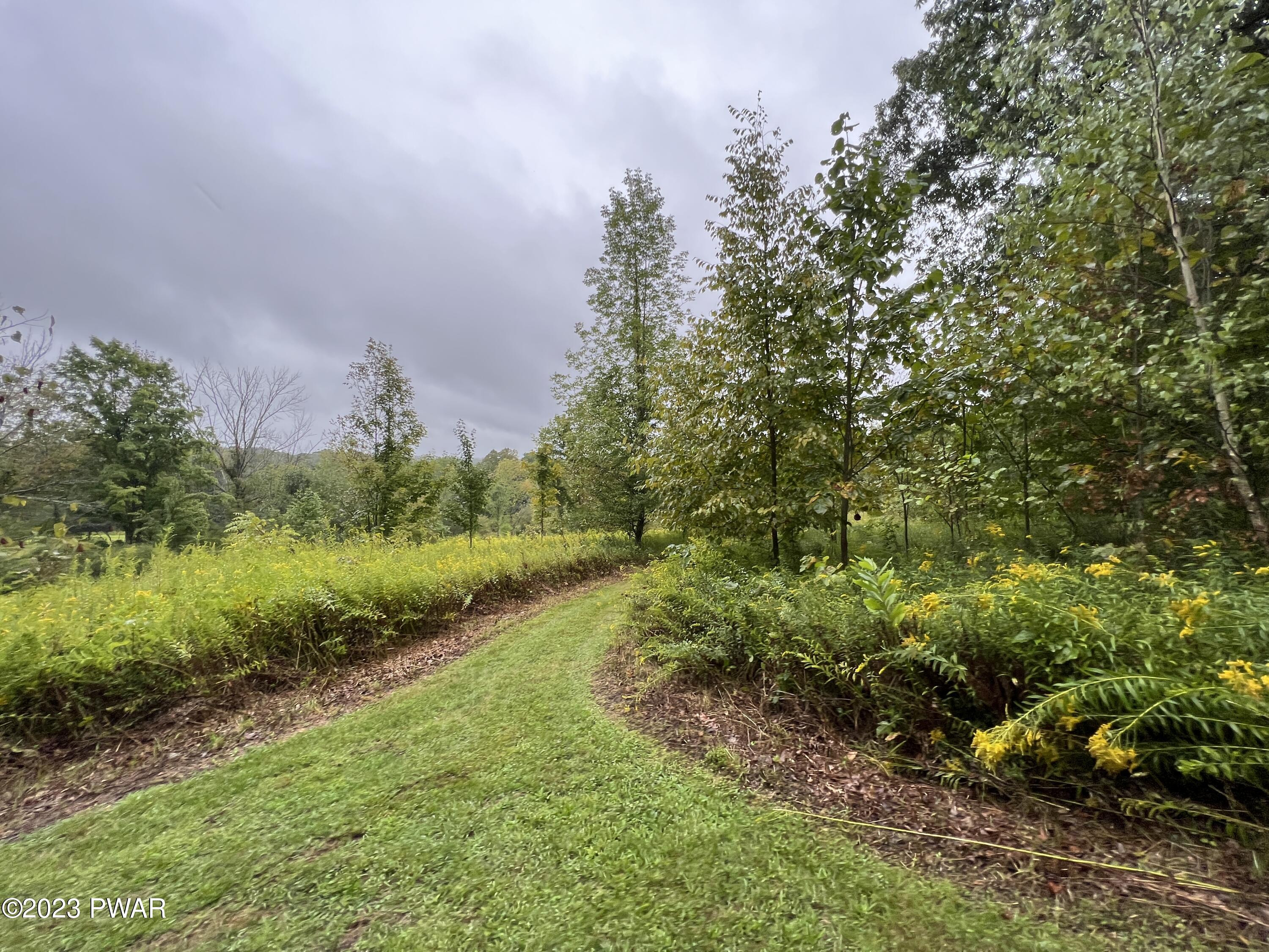 254 Big Hills Road Lake Ariel, PA 18436 - Photo 72 of 91