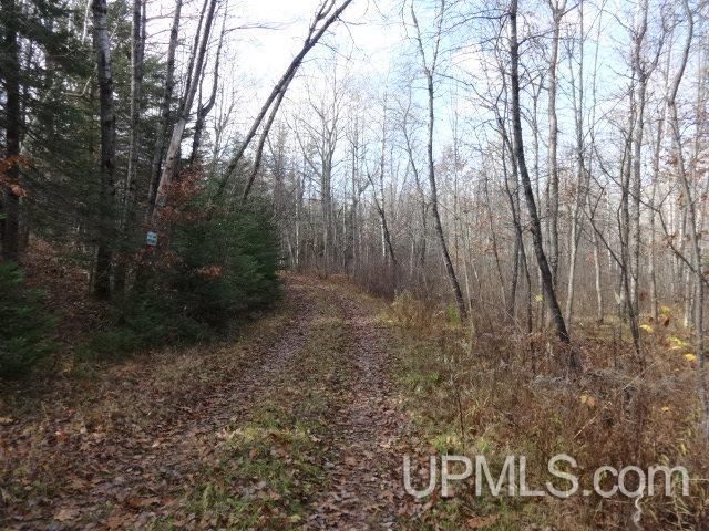 N15369 Bartlett Road Amberg, WI 54102 - Photo 18 of 24 Gallery Image 18
