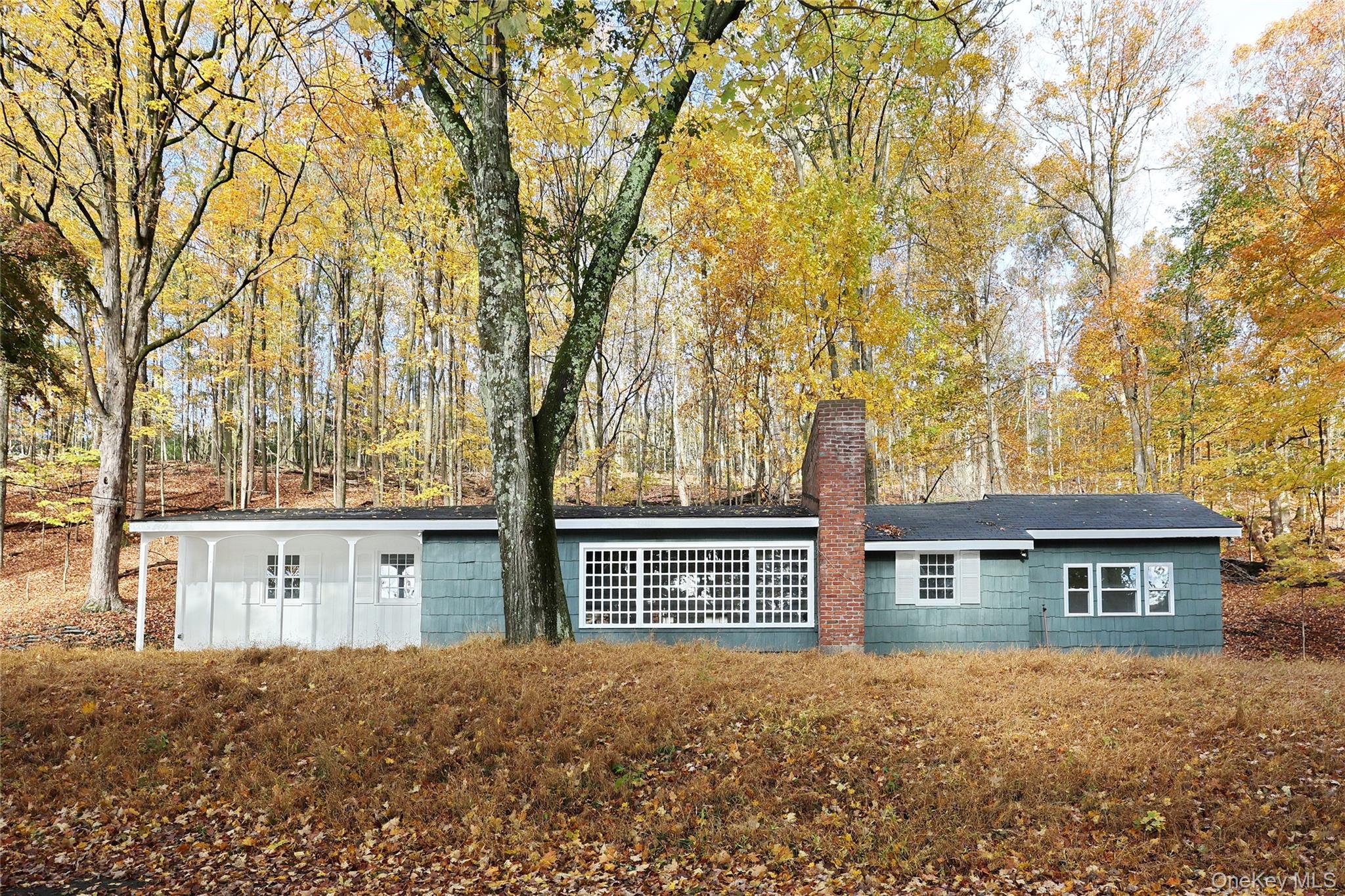 Front view of house featuring a chimney