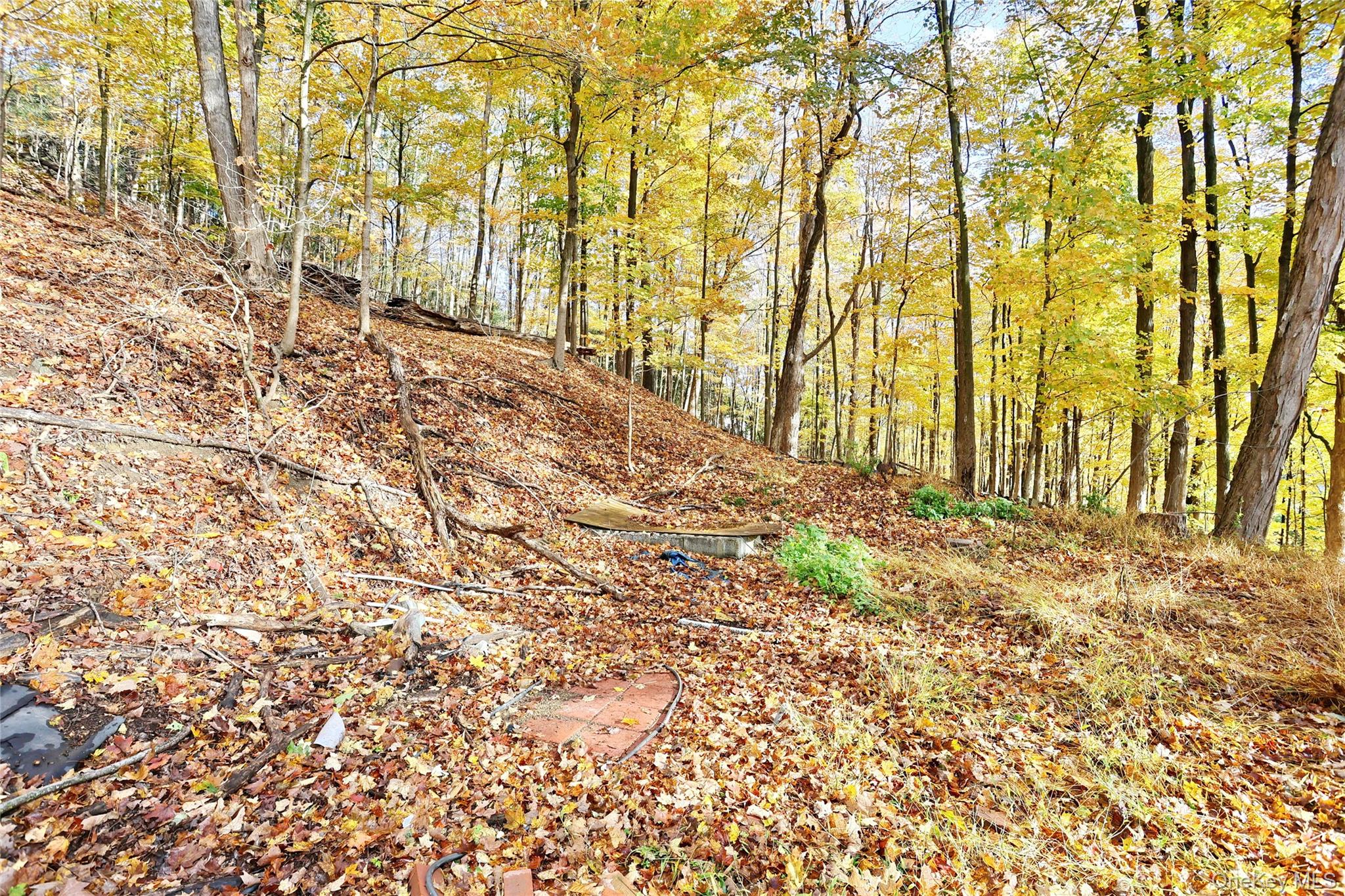 84 Pine Hill Road Chester, NY 10918 - Photo 5 of 18 View of wilderness