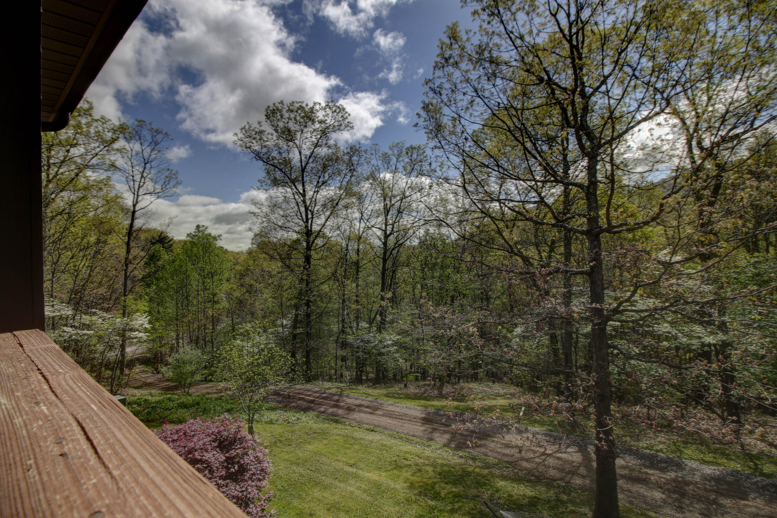 2965 Paint Bank Road New Castle, VA 24127 - Photo 36 of 47 _MG_2311_2_3_4_5_6_7