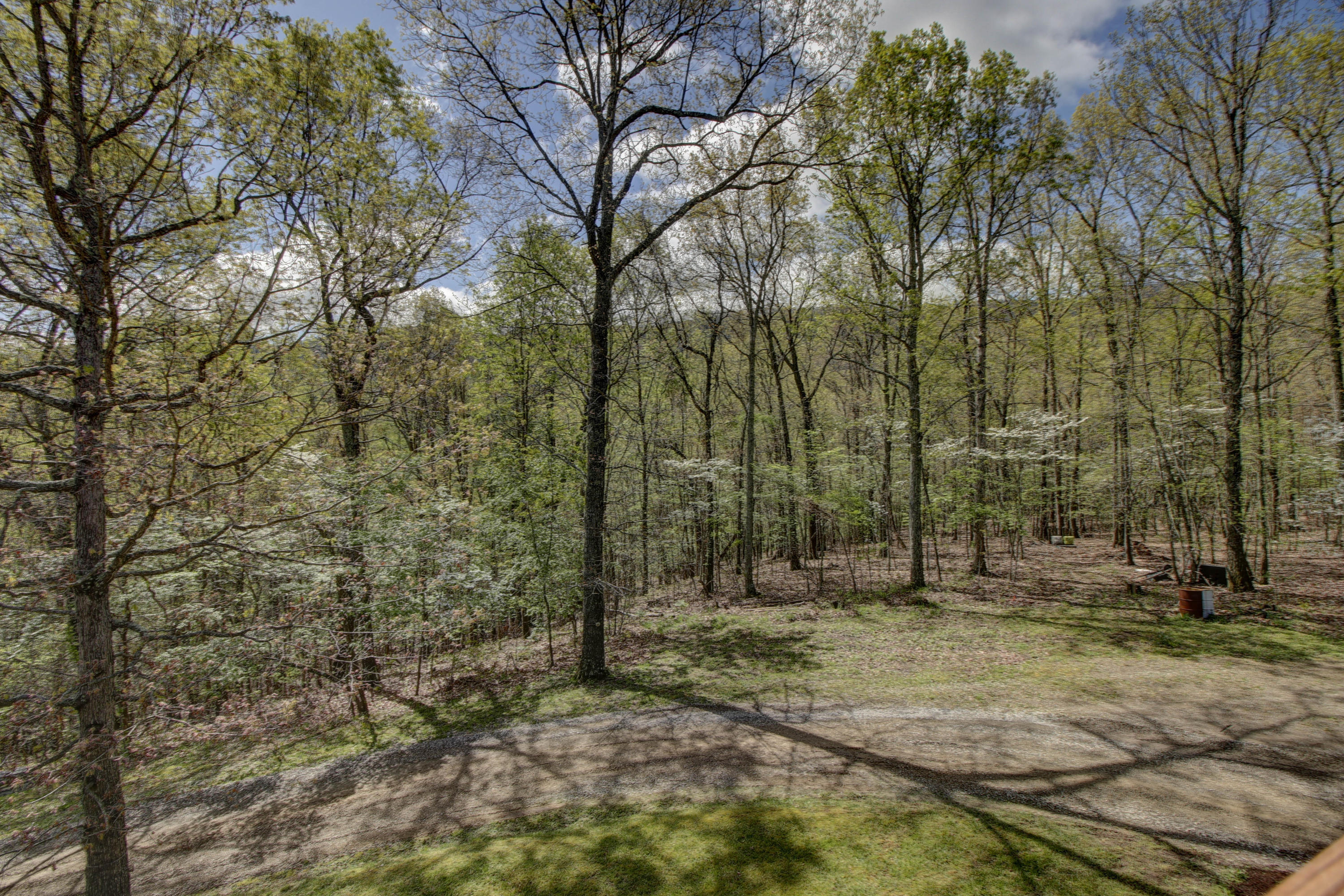 2965 Paint Bank Road New Castle, VA 24127 - Photo 37 of 47 _MG_2318_19_20_21_22_23_24
