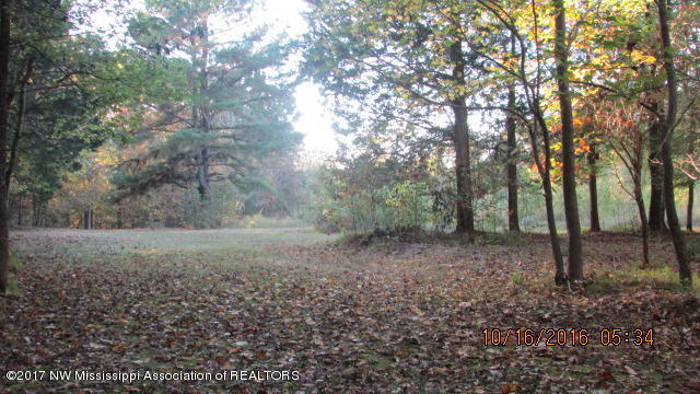 3930 South Red Banks Road Byhalia, MS 38611 - Photo 6 of 18 IMG_8219