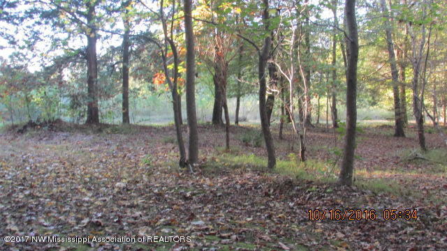 3930 South Red Banks Road Byhalia, MS 38611 - Photo 7 of 18 IMG_8220