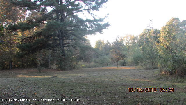 3930 South Red Banks Road Byhalia, MS 38611 - Photo 8 of 18 IMG_8221