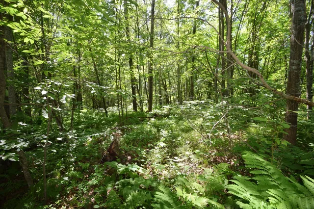 $875,000 | 7460 Jordan Buck Trail, Danbury, WI 54830