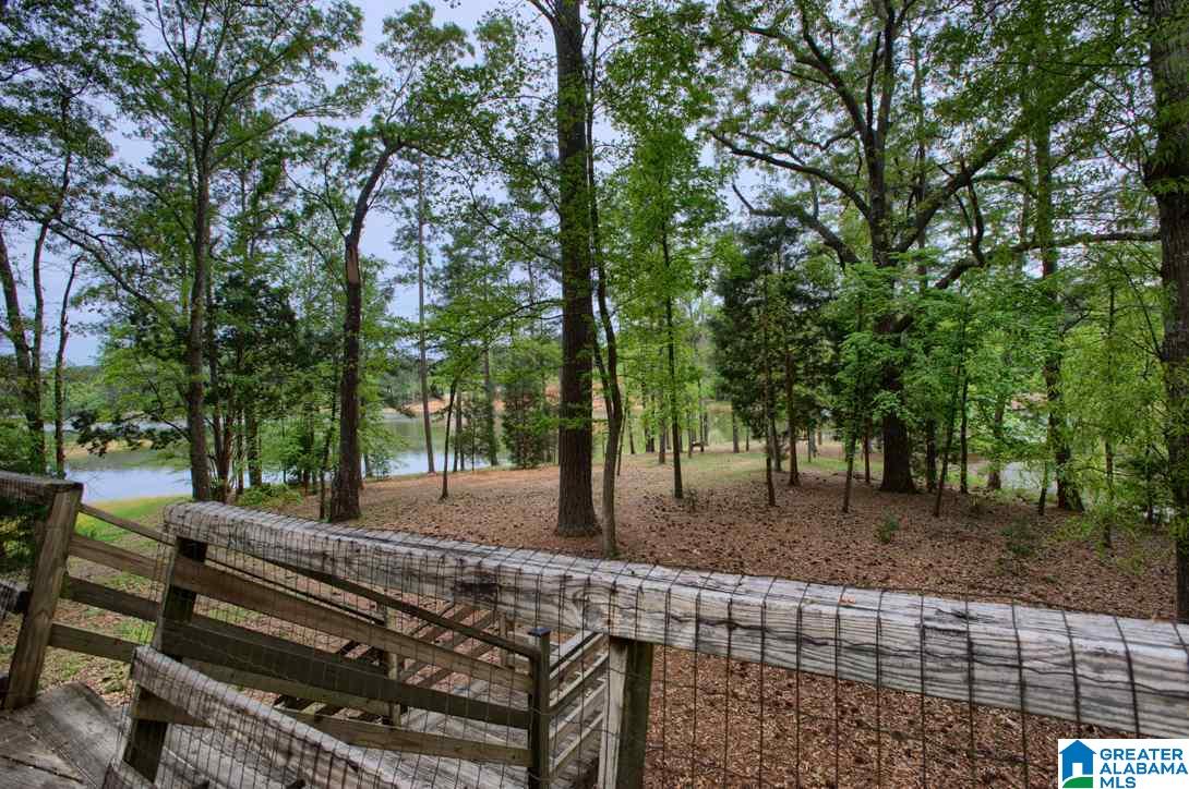780 Treasure Island Road Cropwell, AL 35054 - Photo 22 of 33