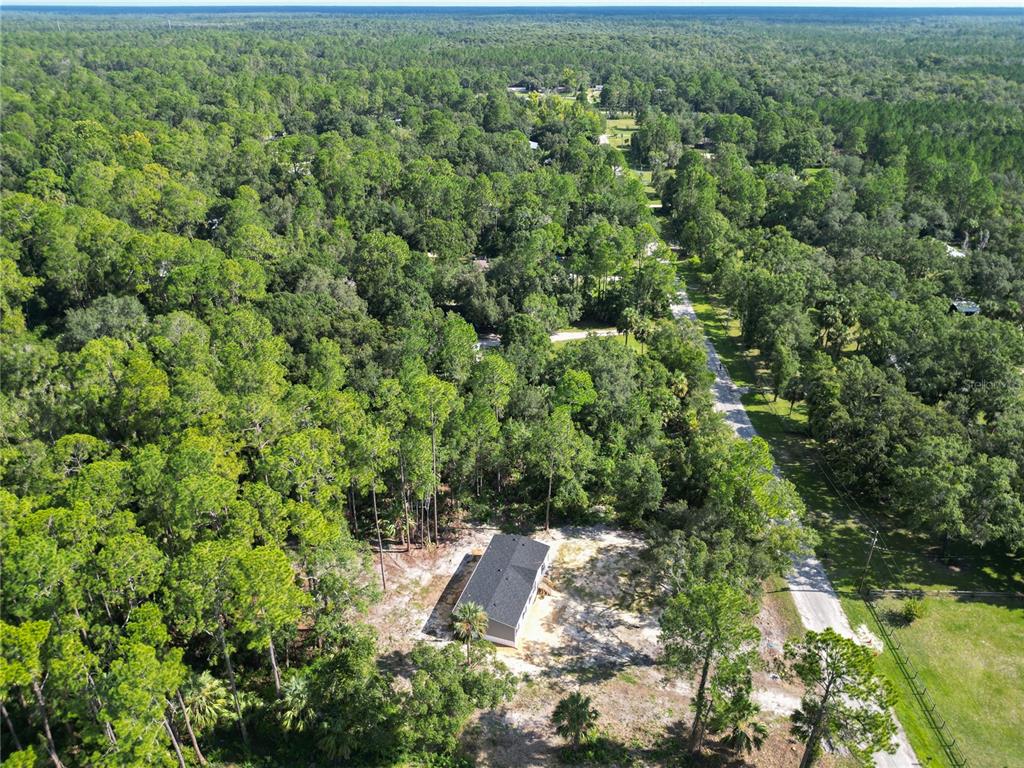 50 Neeld Inglis, FL 34449 - Photo 37 of 42