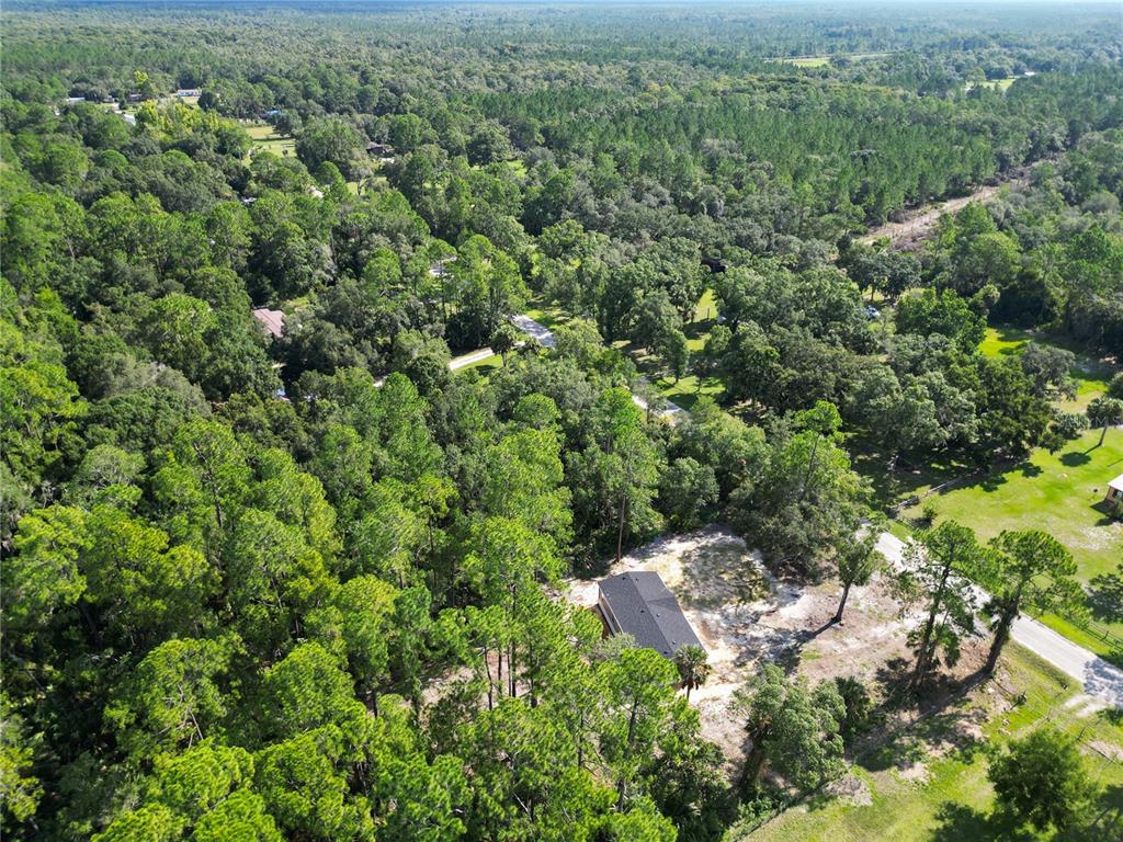 50 Neeld Inglis, FL 34449 - Photo 38 of 42