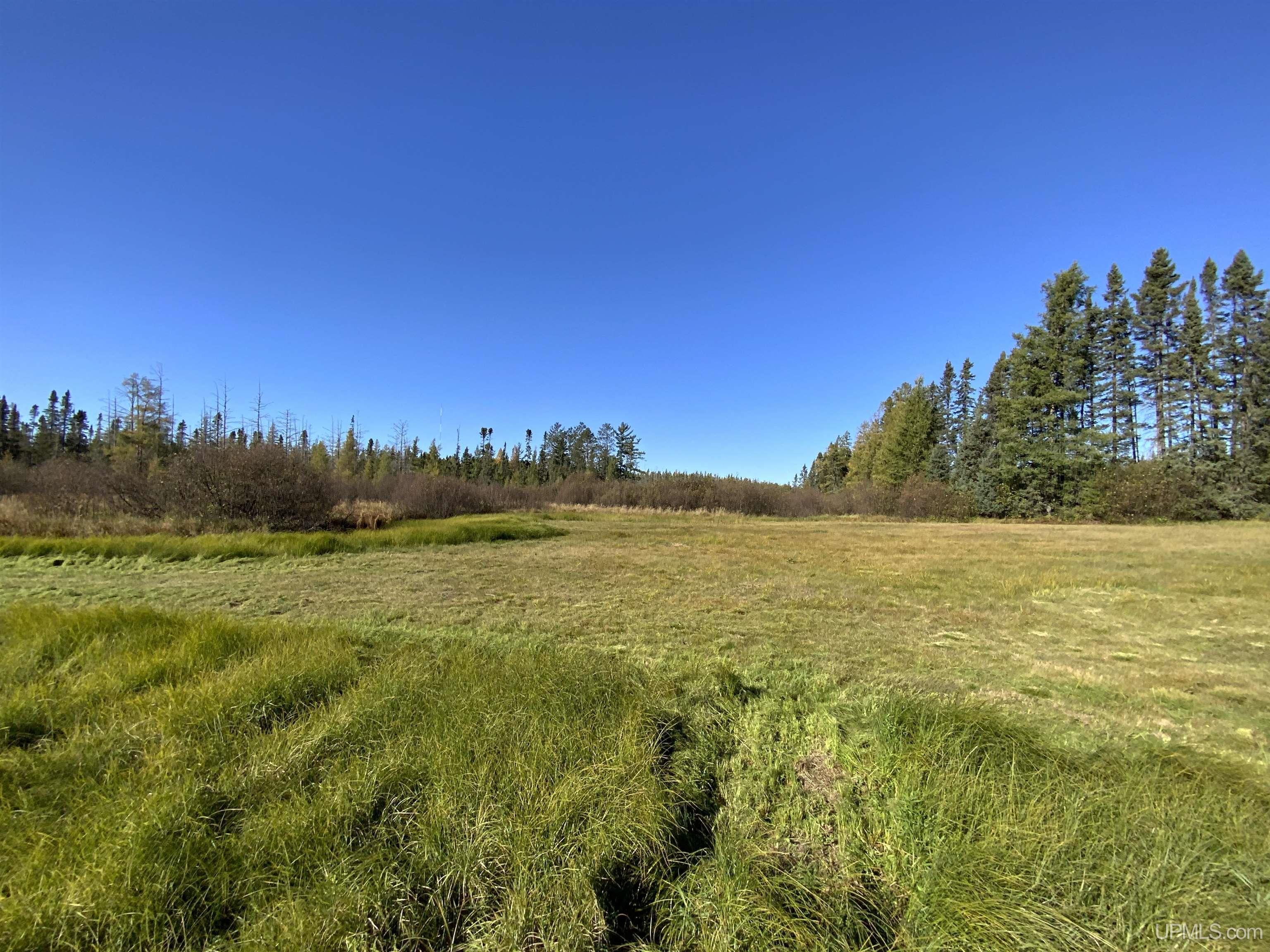 Tbd Tbd Co Road Ishpeming, MI 49849 - Photo 32 of 52