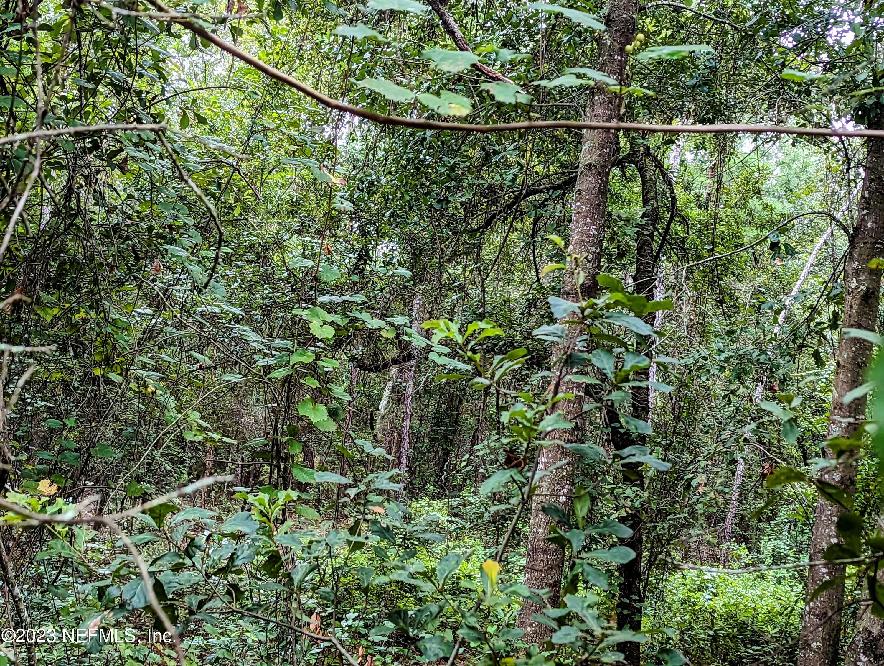 5677 Caribbean Circle Keystone Heights, FL 32656 - Photo 1 of 11 pic 5677 Caribbean Cir 1