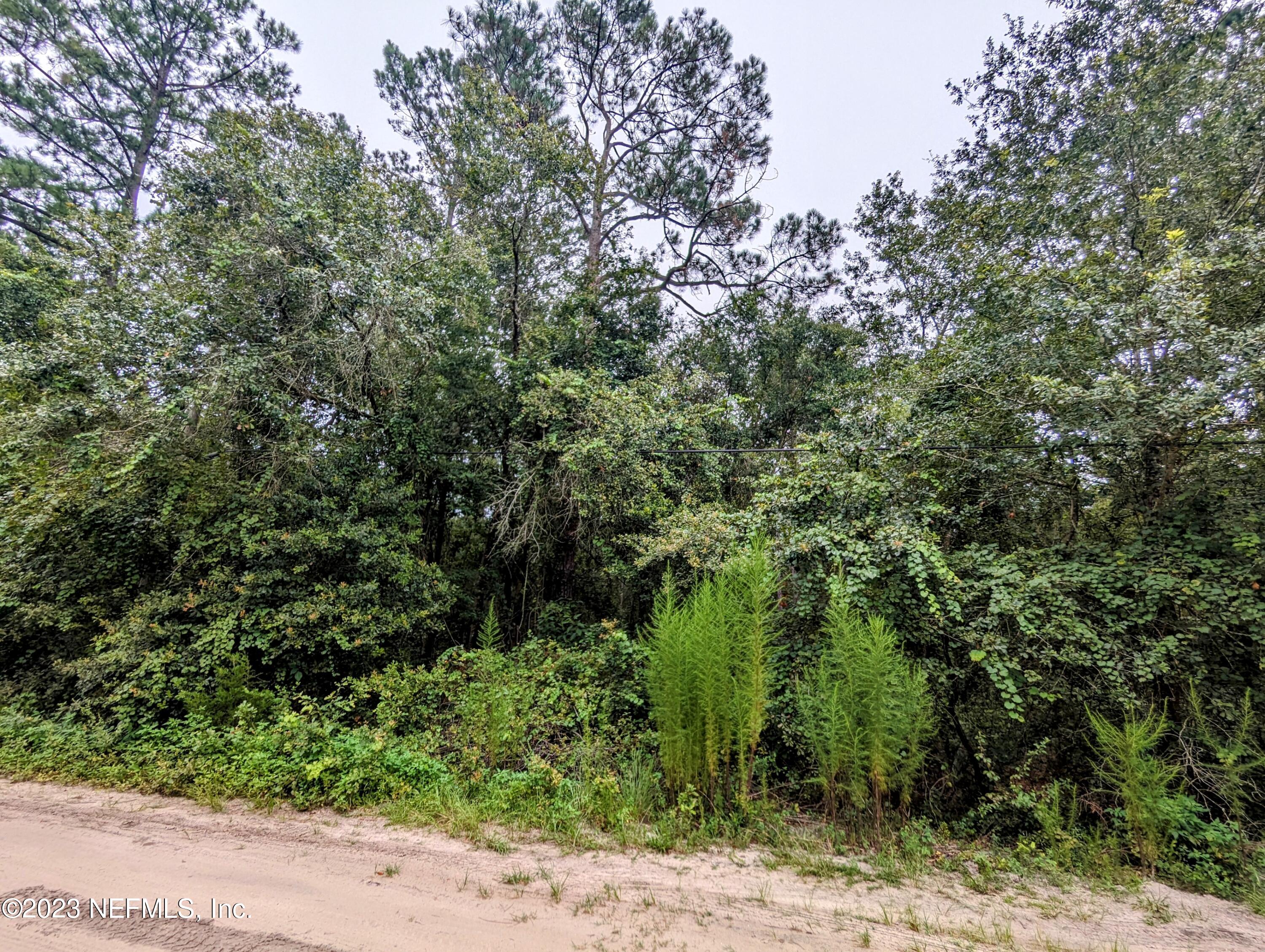 5677 Caribbean Circle Keystone Heights, FL 32656 - Photo 11 of 11 pic 5677 Caribbean Cir 3