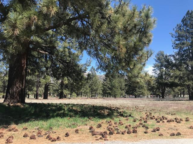Lot 4 Tool Box Spring Road Mountain Center, CA 92561 - Photo 1 of 3 Stuart lot 2