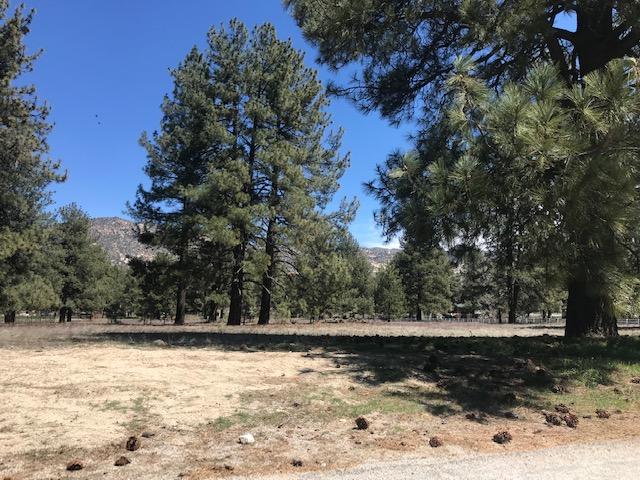 Lot 4 Tool Box Spring Road Mountain Center, CA 92561 - Photo 2 of 3 Stuart lot 3