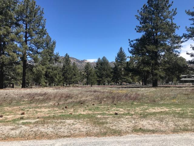 Lot 4 Tool Box Spring Road Mountain Center, CA 92561 - Photo 3 of 3 Stuart lot