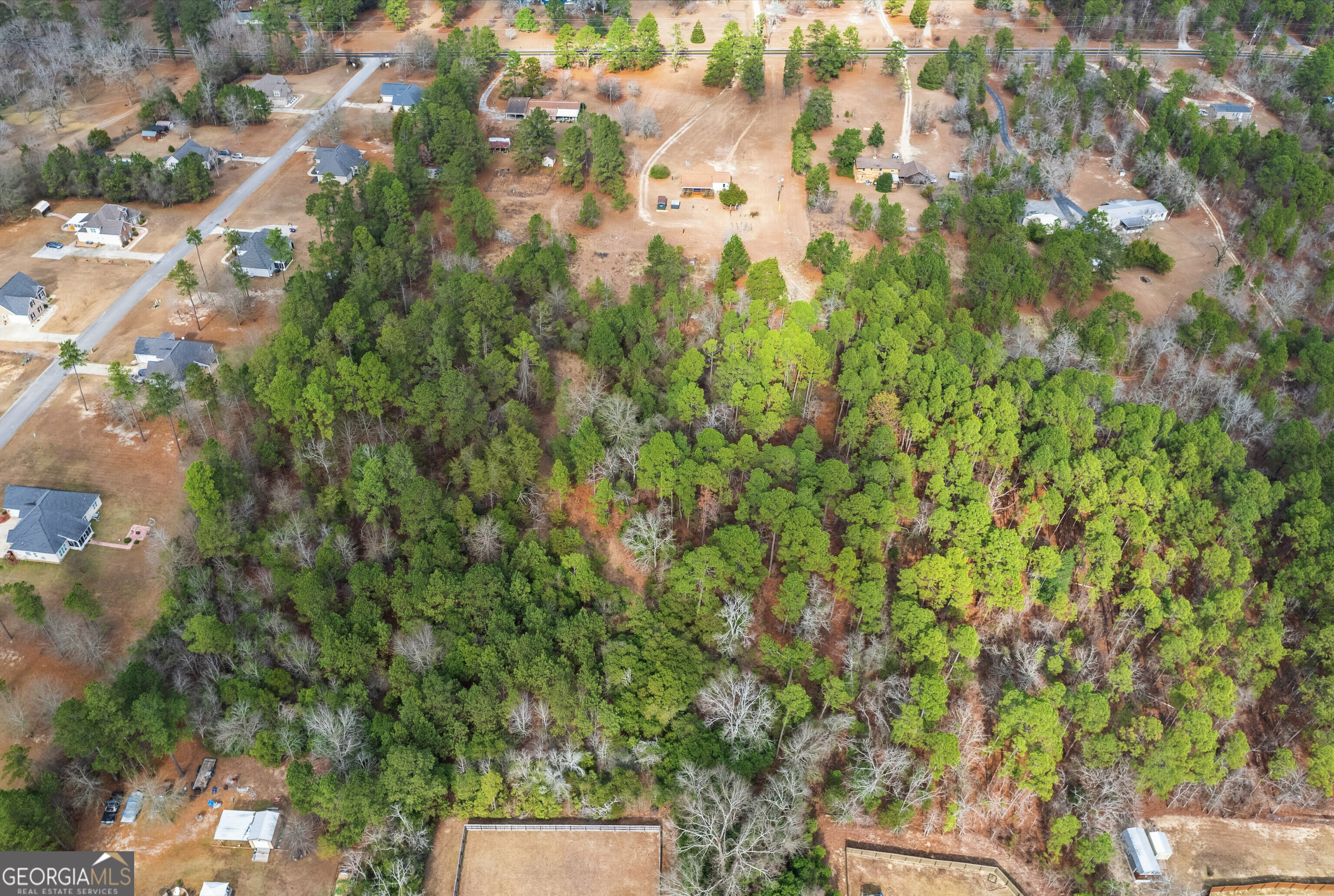 5393 Rogers Road Lizella, GA 31052 - Photo 46 of 52 a view of a tree