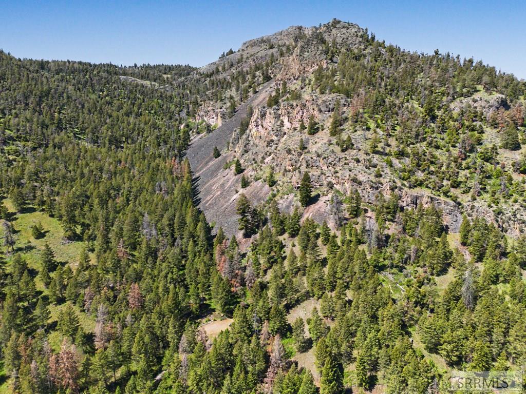 21 Pinetree Drive Salmon, ID 83467 - Photo 67 of 71