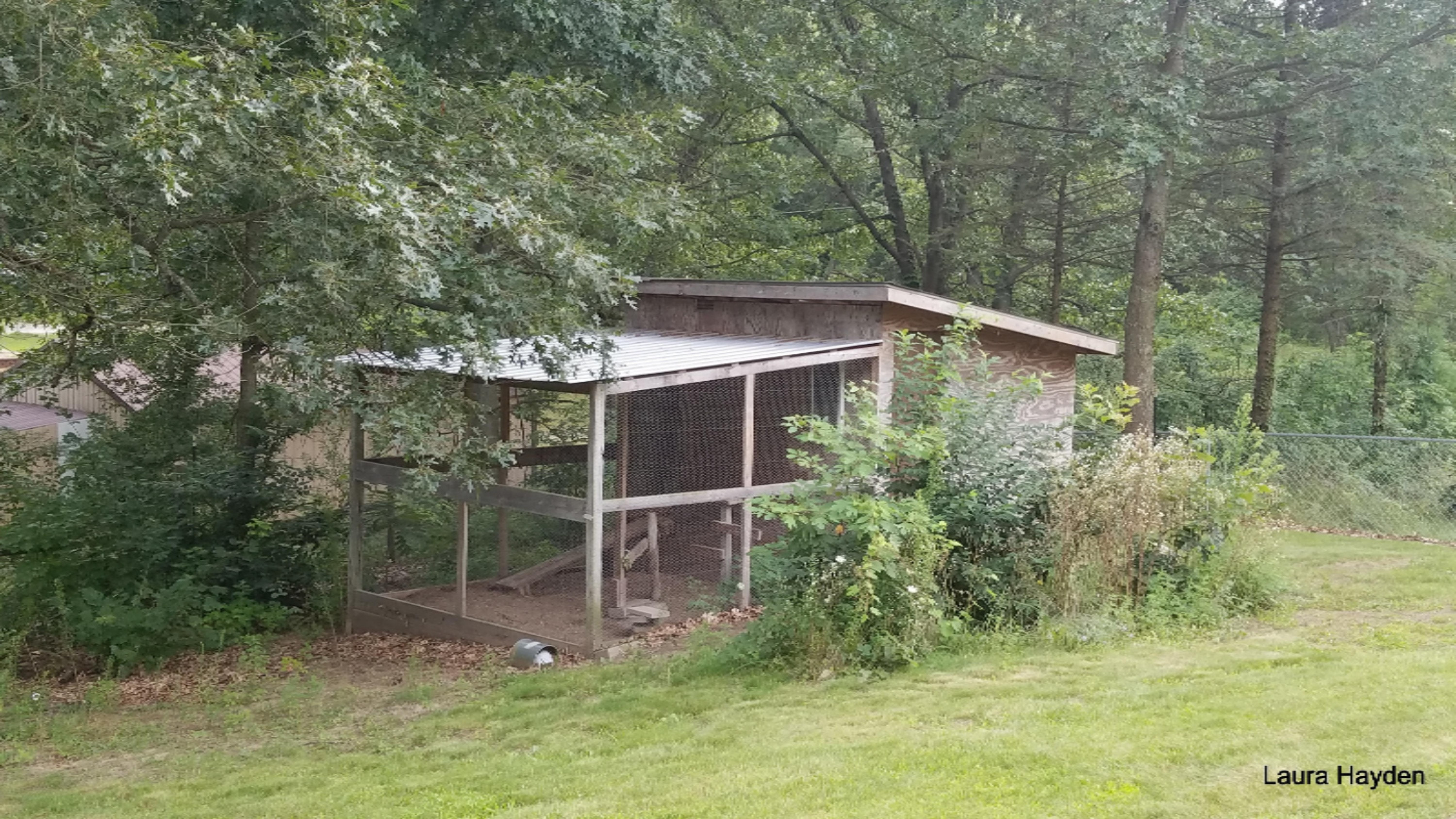 5651 Ivan Road Saranac, MI 48881 - Photo 12 of 31 20170810_193013