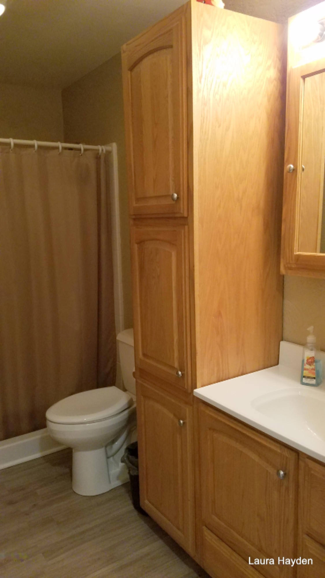 5651 Ivan Road Saranac, MI 48881 - Photo 23 of 31 20170810_192348