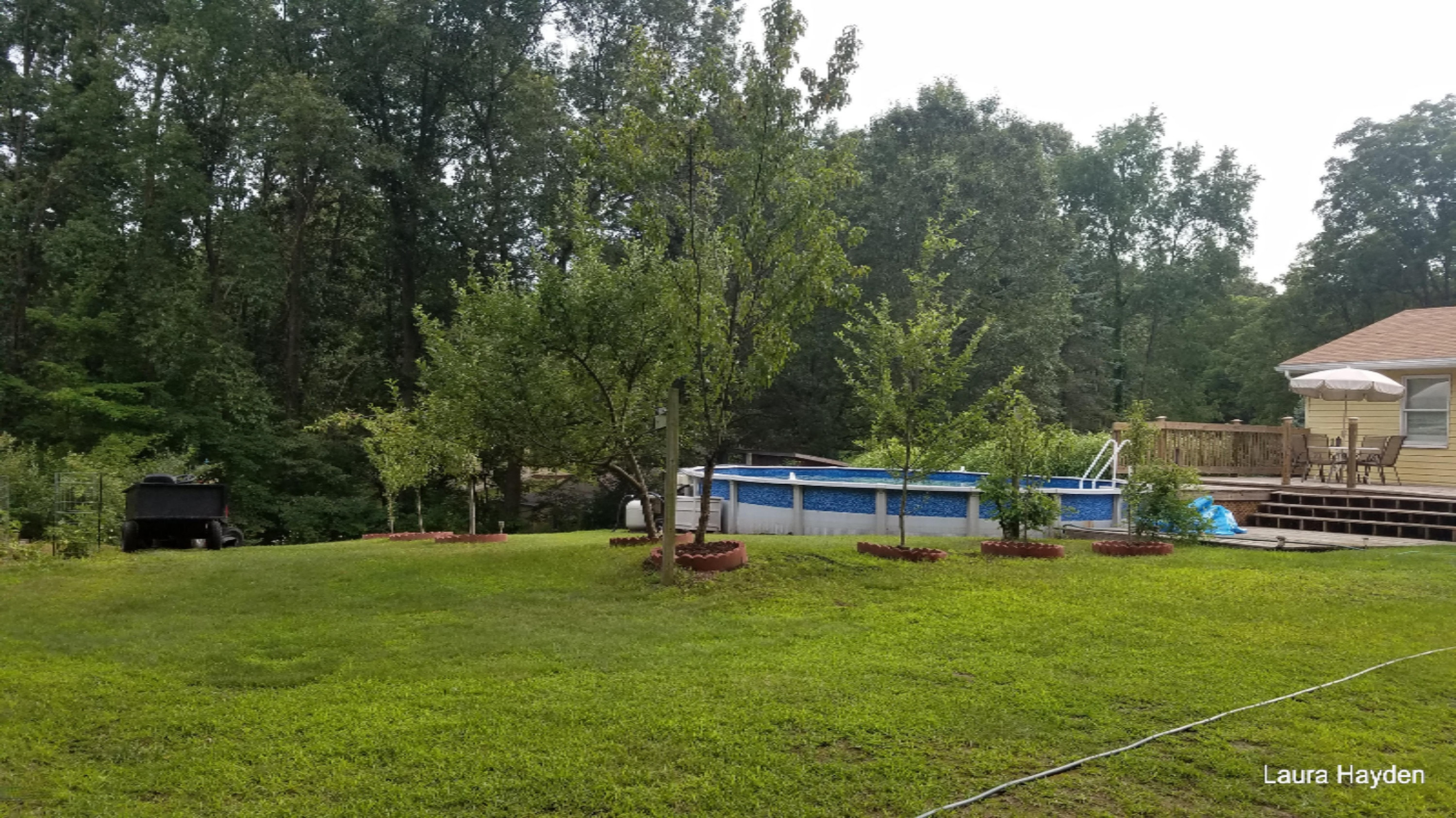 5651 Ivan Road Saranac, MI 48881 - Photo 6 of 31 20170810_192840