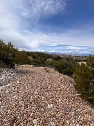 19075 West Honesty Cove Duchesne, UT 84021 - Photo 41 of 44 Expansive natural landscape featuring a gravel terrain and varied foliage