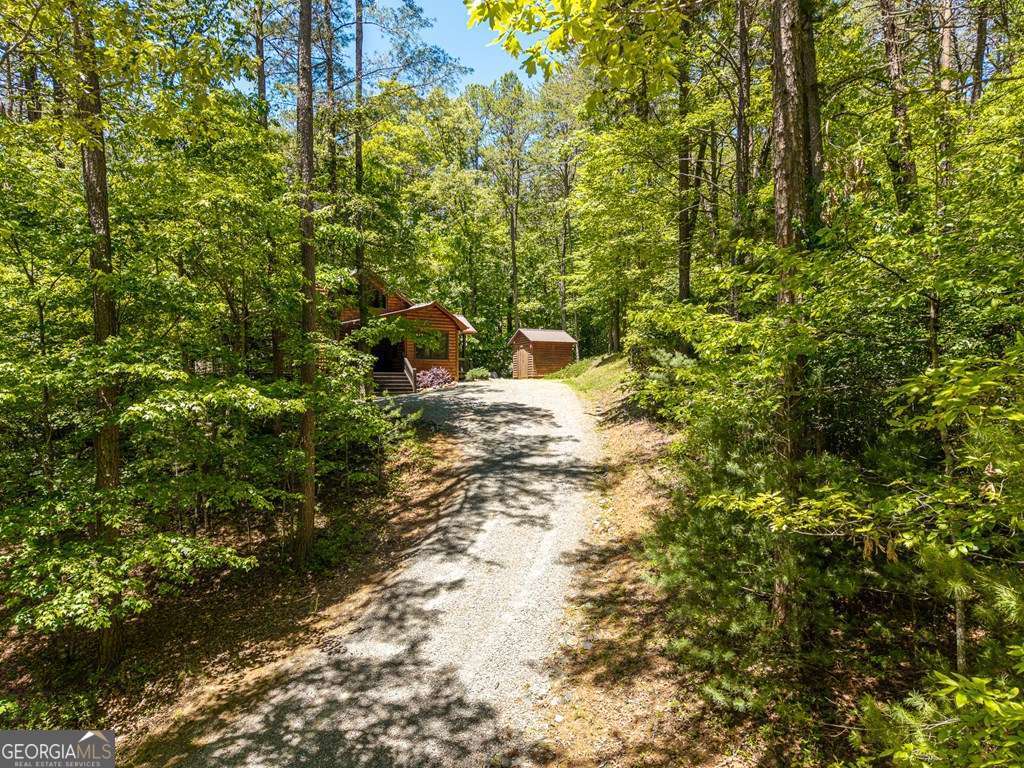 259 The Woods Road, Unit 33 Mineral Bluff, GA 30559 - Photo 34 of 54