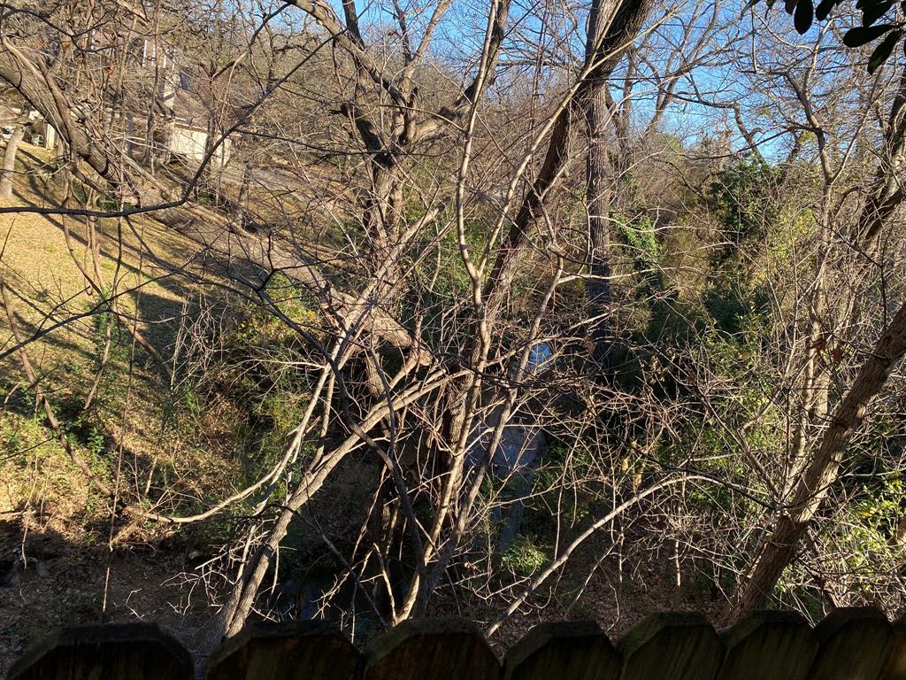 134 Main Place Euless, TX 76040 - Photo 21 of 25 a picture of tree