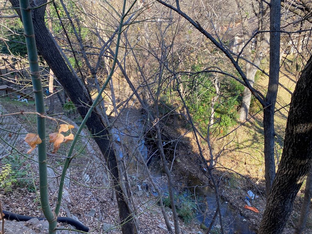 134 Main Place Euless, TX 76040 - Photo 22 of 25 a view of a backyard of the house
