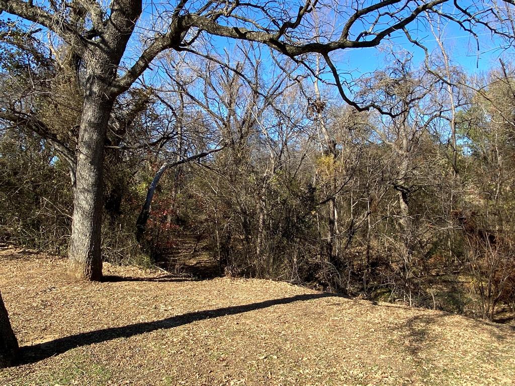 134 Main Place Euless, TX 76040 - Photo 25 of 25 a view of a yard covered with snow in front of house