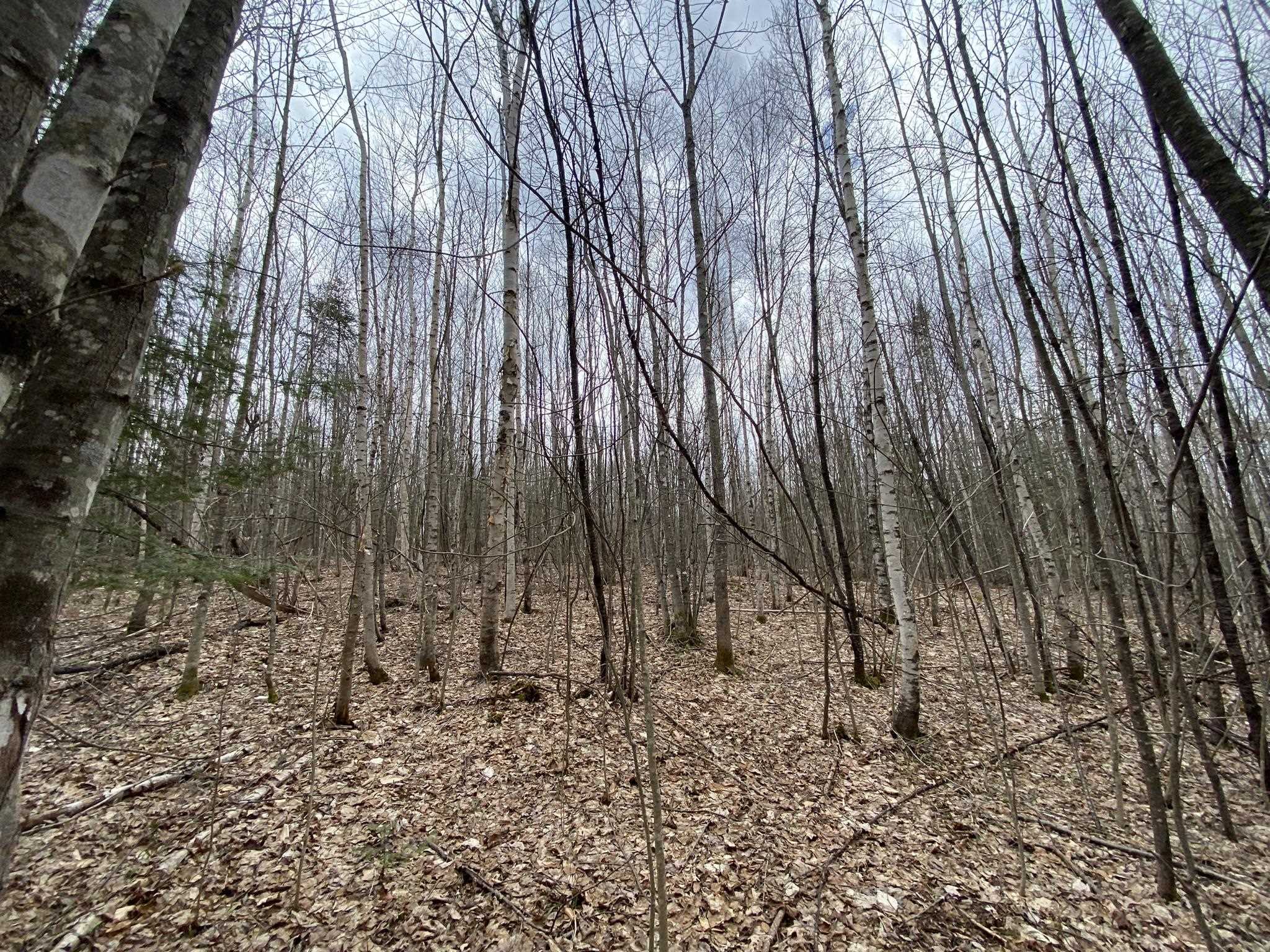 0 Leclair Road Concord, VT 05824 - Photo 13 of 30