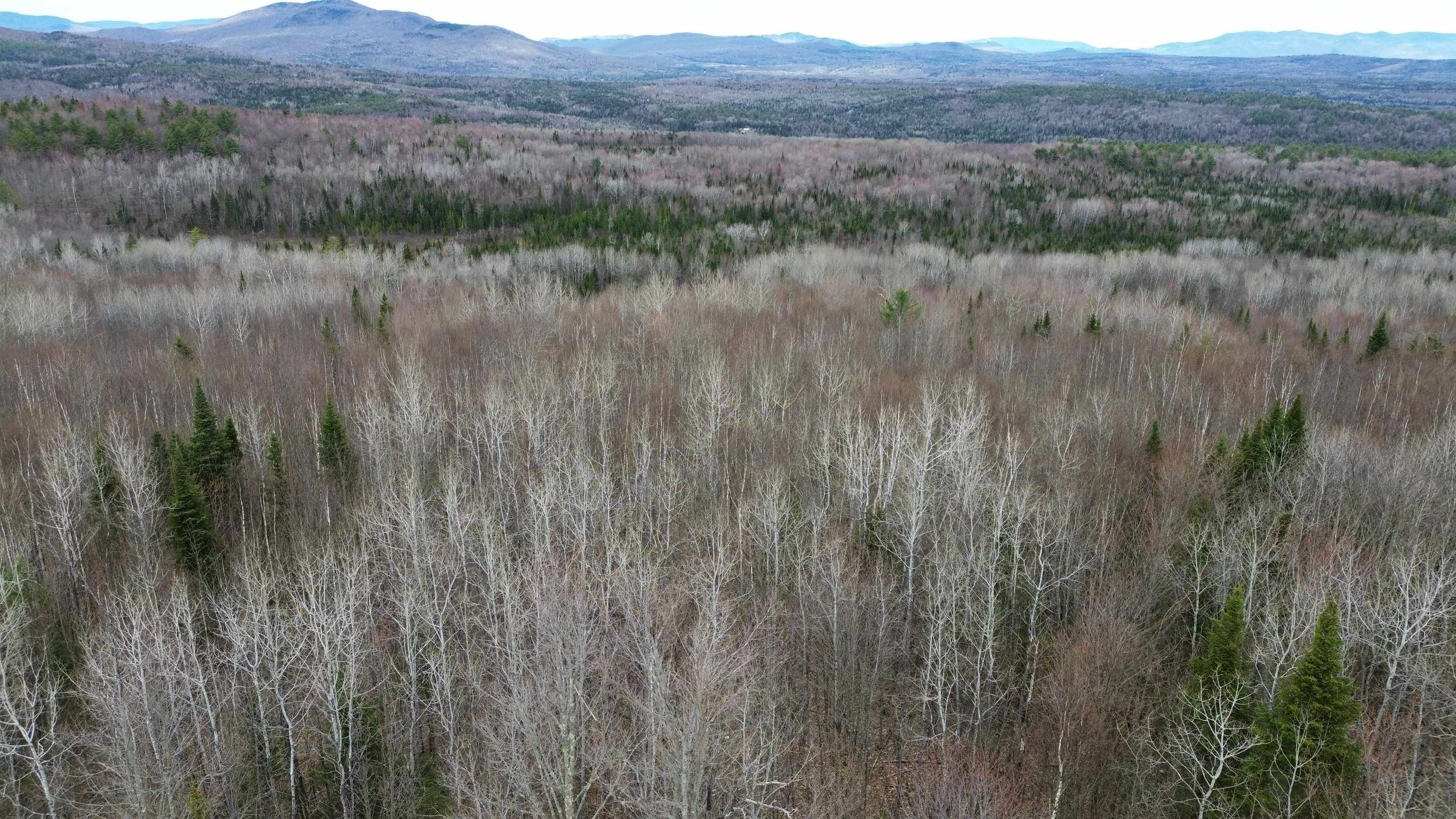 0 Leclair Road Concord, VT 05824 - Photo 14 of 30